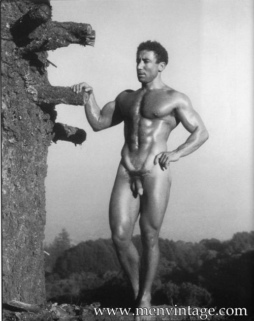 muscle men naked in vintage male erotica
